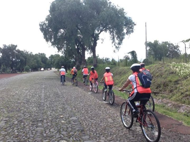  Fahrten für Schulen 